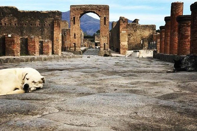 private-guided-tour-experience-the-everyday-life-of-the-eternal-town-of-pompeii