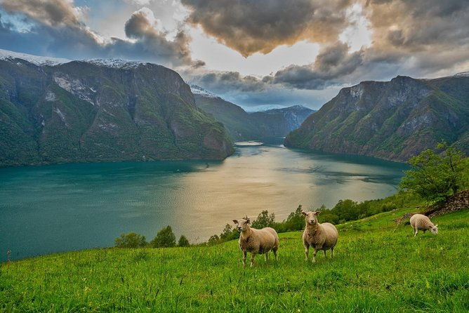 private-guided-tour-norways-highlights-viking-special-11-12-hours-summer