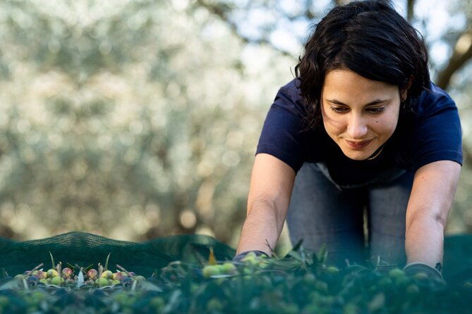 private-guided-tour-olive-oil-estate-in-salon-de-provence