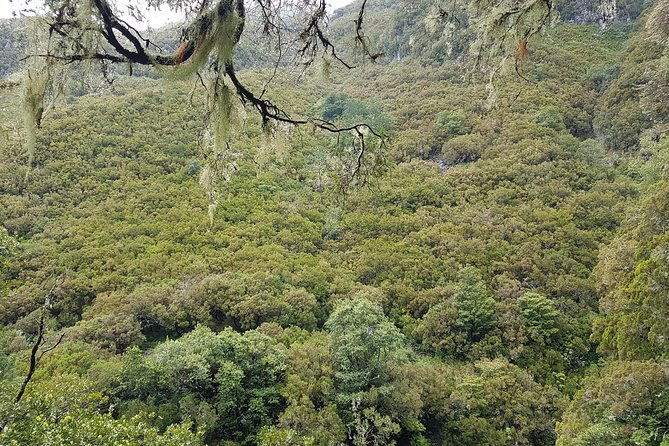 private-guided-walk-levada-25-fontes