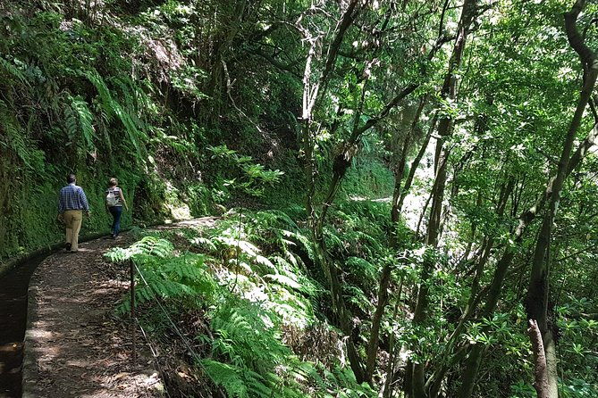 private-guided-walk-levada-do-rei