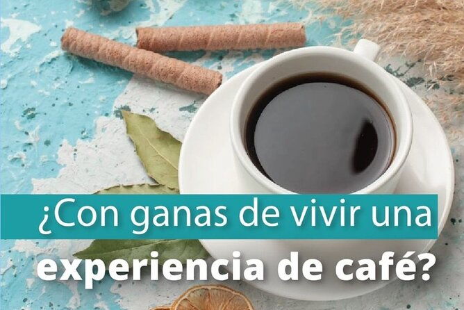 private-guided-walking-tour-and-coffee-workshop-in-bogota