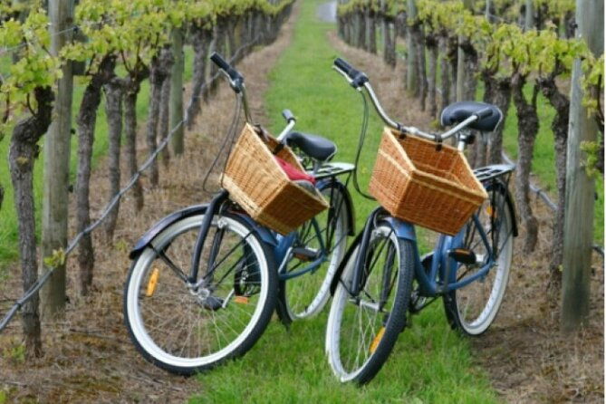 private-guided-wine-country-bike-tour-in-mattituck