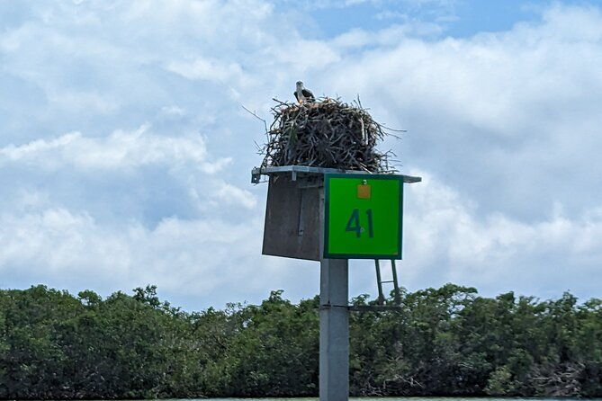 private-half-day-boat-tour-in-sarasota-florida