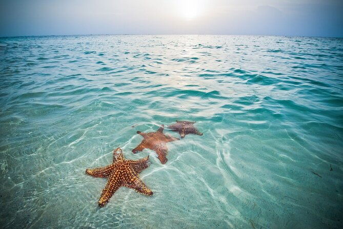 private-half-day-charter-to-stingray-city-starfish-point-and-snorkeling-tour
