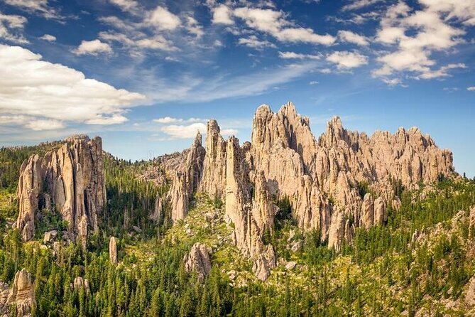 private-half-day-mt-rushmore-black-hills-tour-2