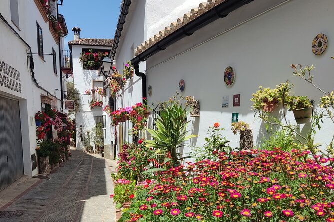 private-half-day-tour-of-ronda-and-the-white-villages-with-native