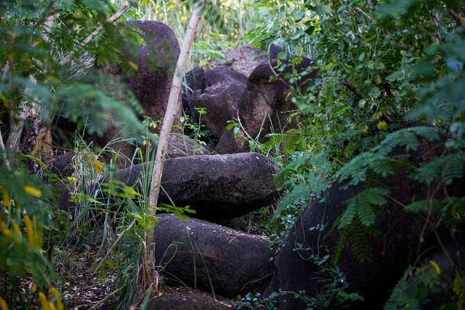 private-hike-on-the-stonehenge-of-the-caribbean-antigua