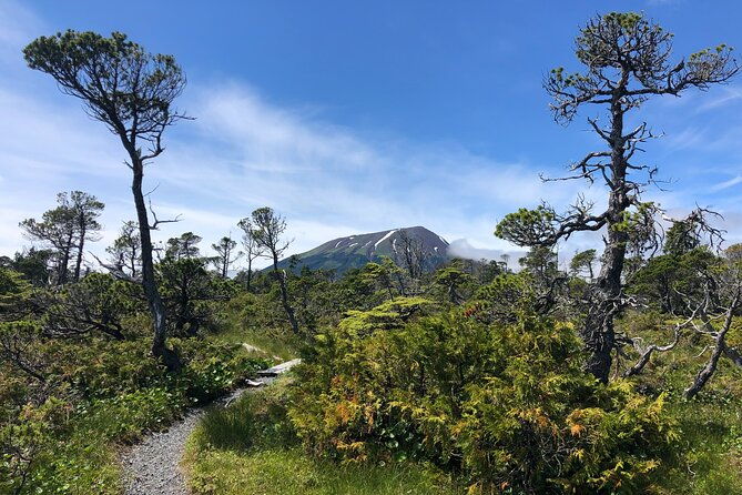 private-hiking-tour-in-sitka-alaska-2
