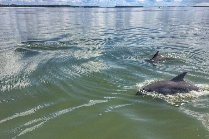 private-hilton-head-sunset-dolphin-tour-2