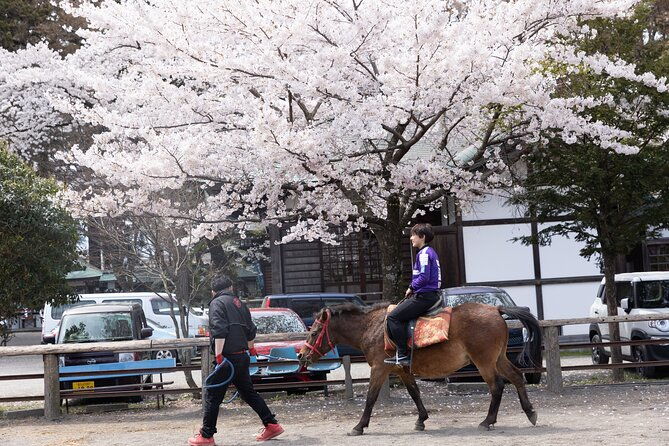 private-horse-interaction-sakura-experience-near-mt-fuji