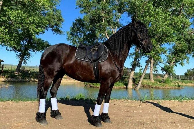 private-horse-ridding-tour