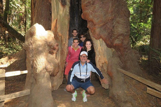private-horseback-riding-and-muir-woods-adventure-from-san-francisco