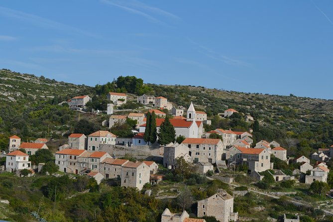 private-hvar-island-tour-and-olive-oil-tasting-2