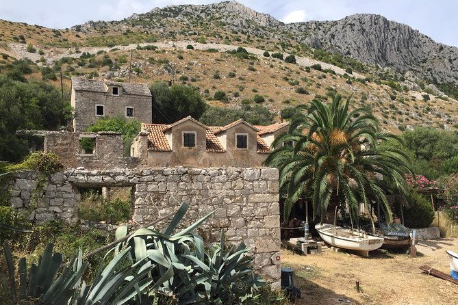 private-hvar-island-tour-and-olive-oil-tasting