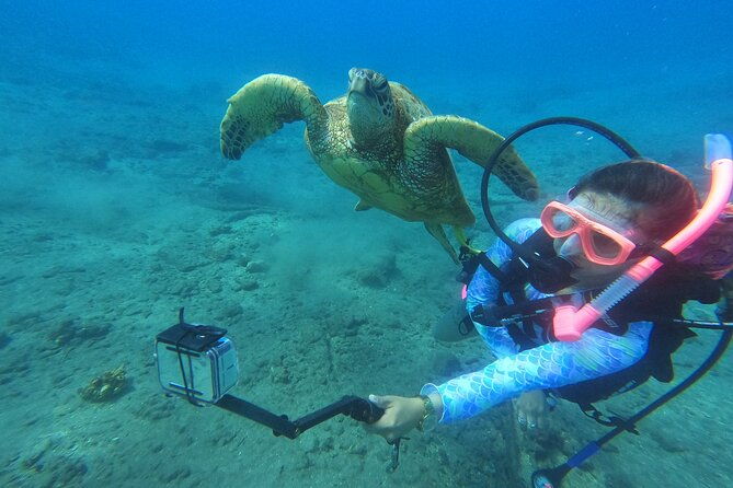 private-intro-scuba-adventure-2