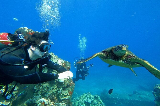 private-intro-scuba-adventure
