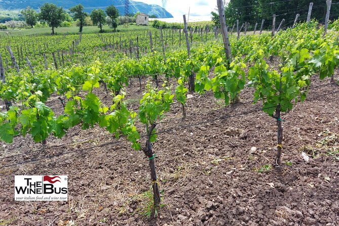 private-irpinia-gourmet-tour-from-ravello-with-sommelier