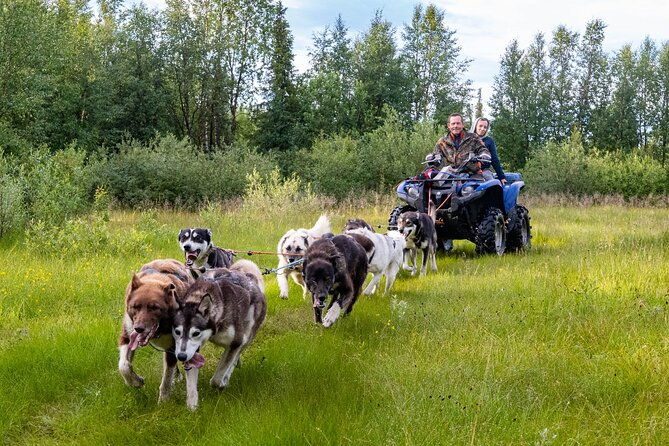 private-kennel-visit-and-atv-tour-with-the-huskies-2