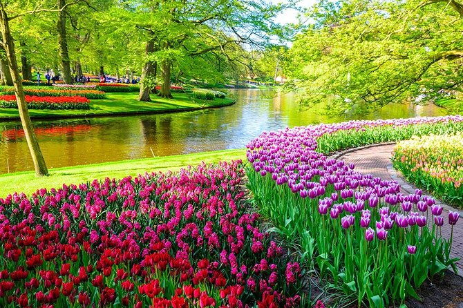 private-keukenhof-tulip-fields-tour-from-amsterdamskip-the-line-2