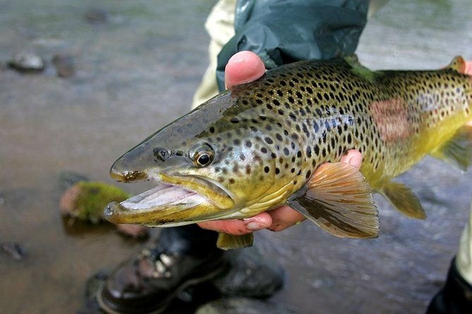 private-lake-and-river-fishing-tour-from-reykjavik