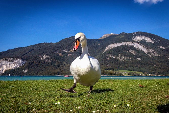 private-lake-district-st-wolfgang-and-st-gilgen-tour