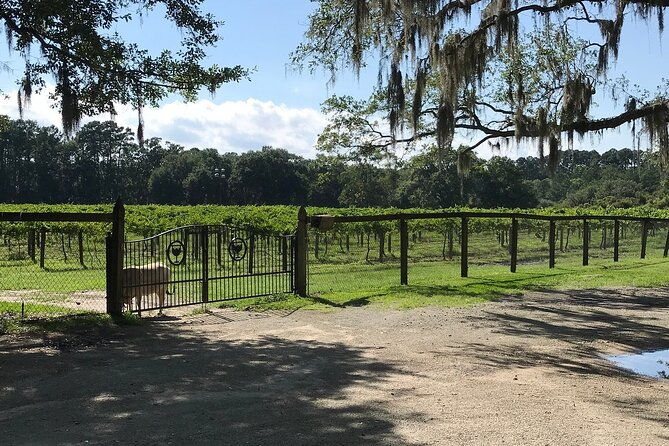 private-luxury-chauffeured-transportation-to-from-distilleries-breweries