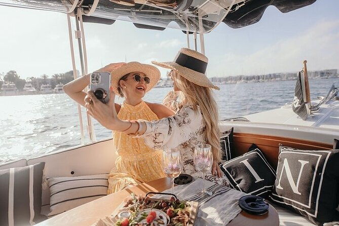private-luxury-e-boat-cruise-with-wine-charcuterie-sea-lions-spotting-2