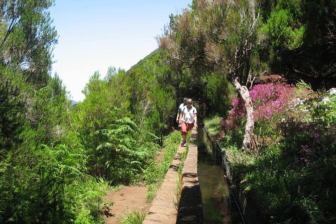 private-madeira-tour-8-people