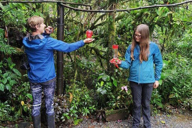 private-mindo-tour-with-birds-butterflies-zip-line-chocolate