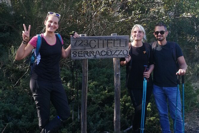 private-mount-etna-full-day-hike-from-a-refuge