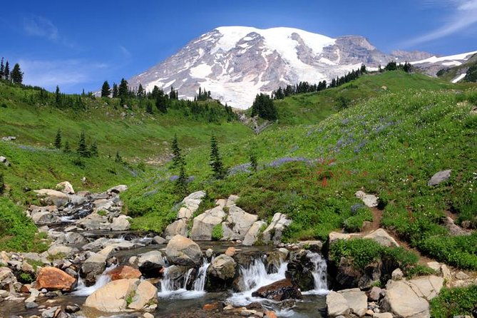 private-mt-rainier-national-park-day-trip-from-seattle