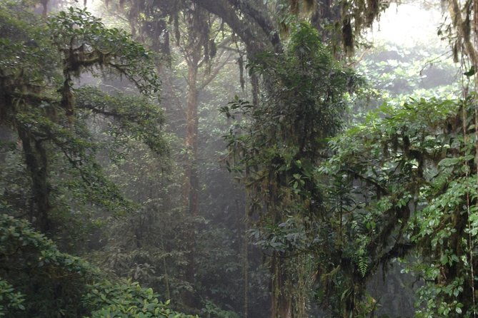 private-natural-history-walk-by-pasion-costa-rica