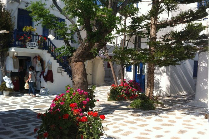 private-only-the-highlights-walking-tour