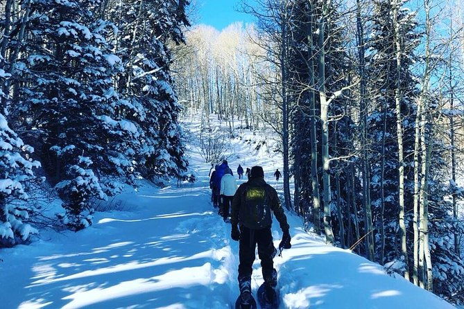 private-park-city-snowshoe-excursions-930am-1230pm-start-time