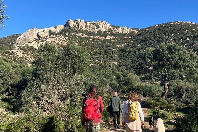 private-prehistoric-and-ancient-tour-in-strait-natural-park