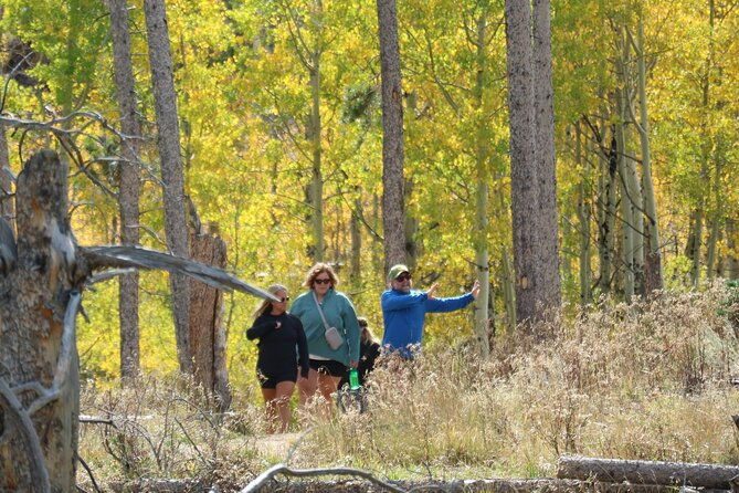 private-rocky-mountain-national-park-6-hour-tour