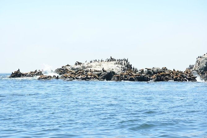 private-sailing-tour-of-bodega-bay
