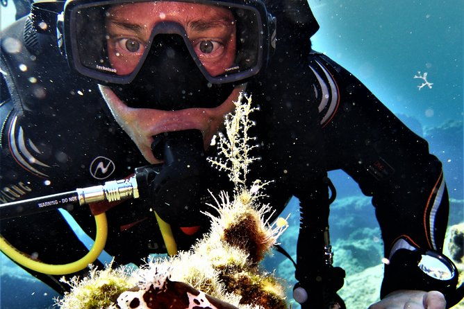 private-scuba-diving-experience-in-mandraki