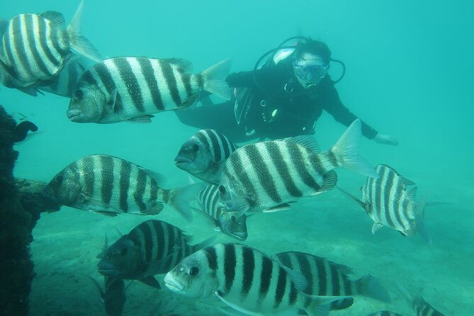 private-scuba-diving-expert-led-excursion-training-with-tour