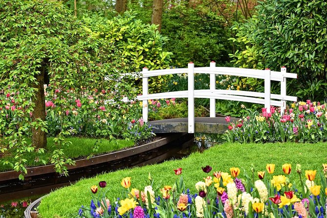 private-sightseeing-tour-to-keukenhof-gardens-and-the-windmills-from-amsterdam