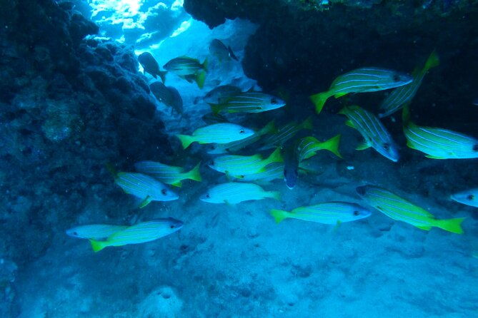 private-snorkel-excursions-in-lahaina-maui