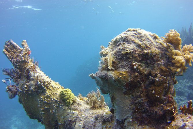 private-snorkel-to-key-largo-reef-for-up-to-12-includes-gear