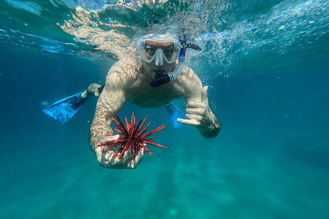 private-snorkel-with-beach-set-up