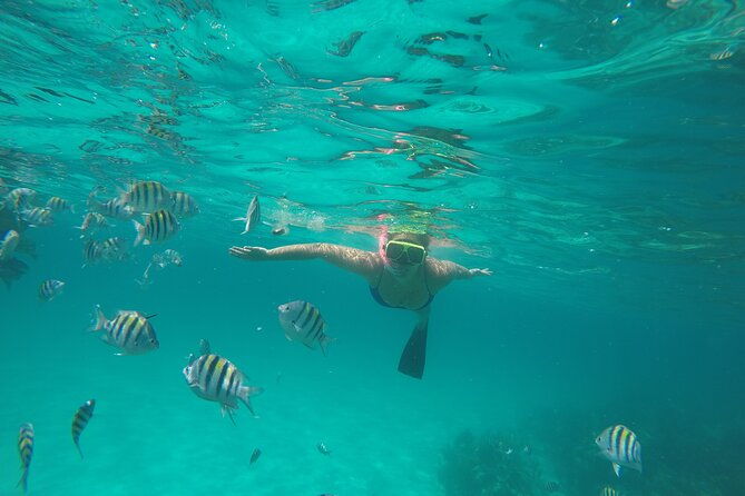 private-snorkeling-or-fishing-in-nassau-38ft-freestyle