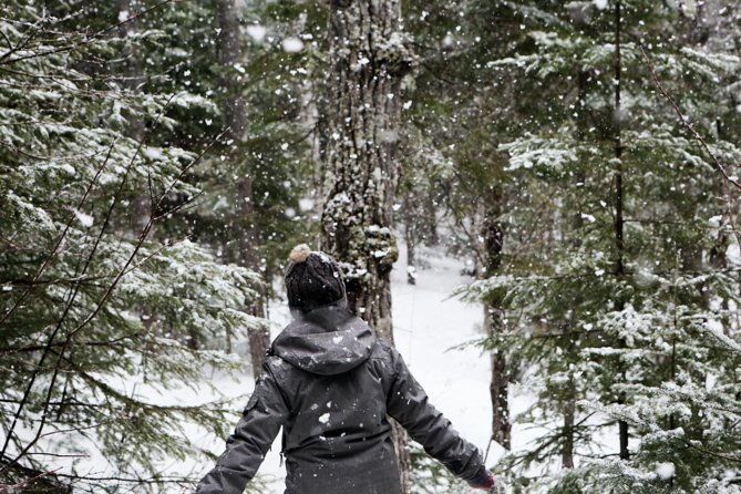 private-snowshoeing-adventure-from-badger-pass-to-dewey-point