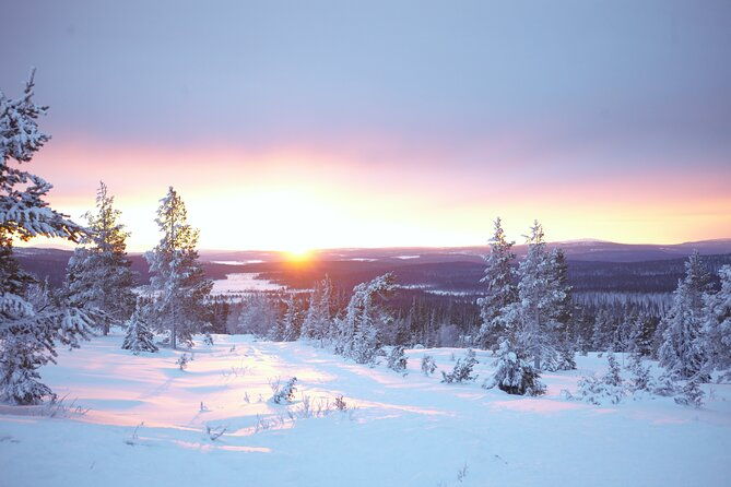 private-snowshoeing-tour-in-national-park