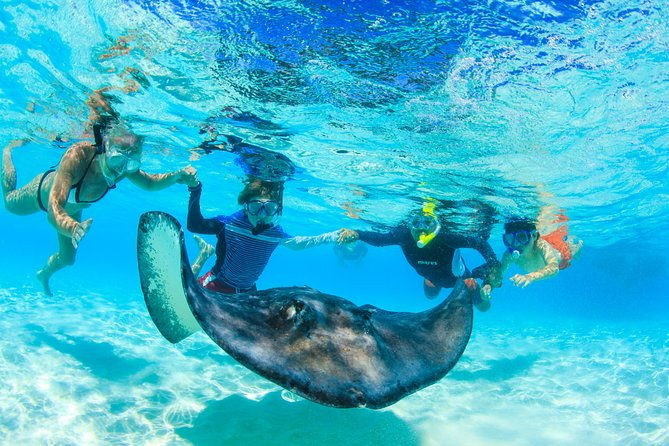 private-stingray-city-and-snorkeling-half-day-charter-for-6-guest