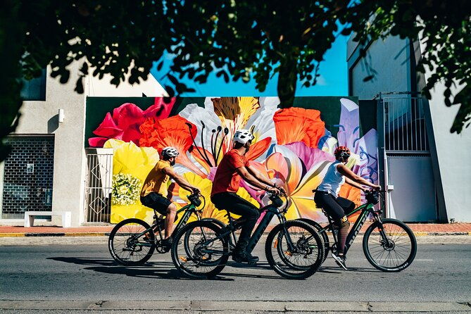 private-street-art-murals-and-coastal-san-nicolas-e-bike-aruba