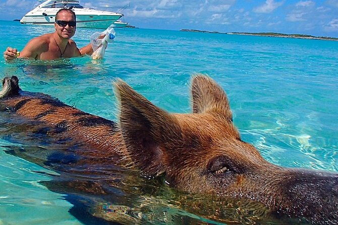 private-swimming-pig-beach-day-50ft-sun-seeker-yacht-1-10-guests